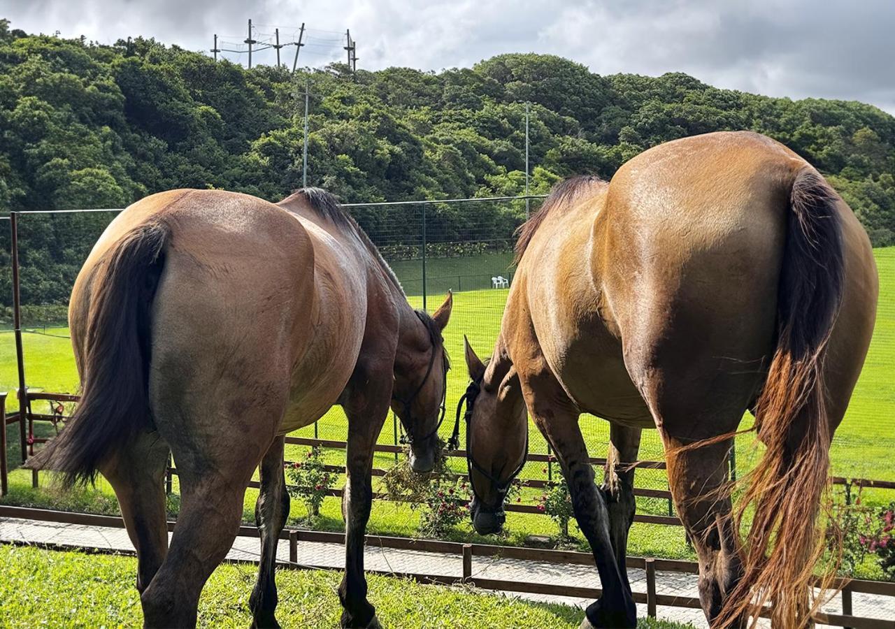 Costao Do Santinho Resort All Inclusive Флорианополис Экстерьер фото The rear quarters of two horses